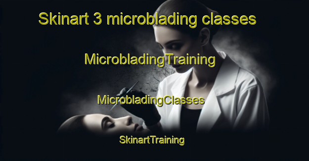 Skinart 3 microblading classes | MicrobladingTraining | MicrobladingClasses | SkinartTraining-France