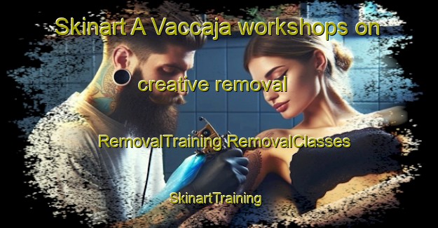 Skinart A Vaccaja workshops on creative removal | #RemovalTraining #RemovalClasses #SkinartTraining-France