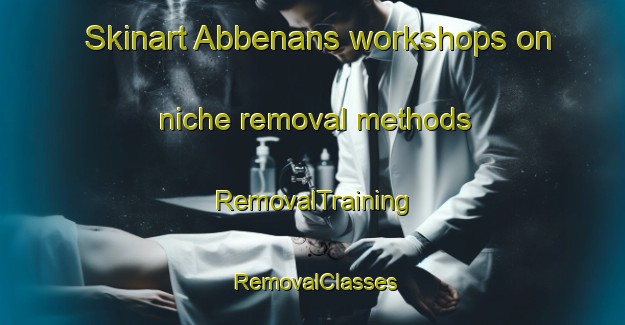 Skinart Abbenans workshops on niche removal methods | RemovalTraining | RemovalClasses | SkinartTraining-France