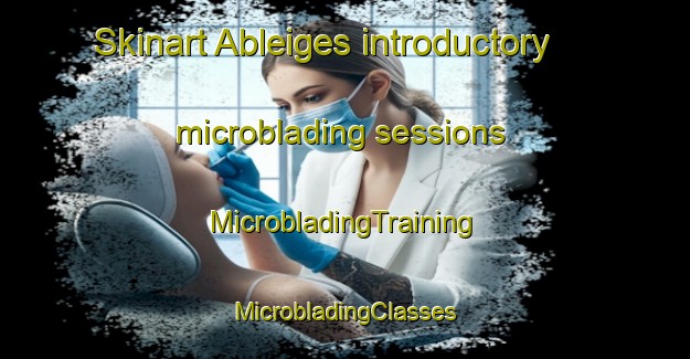 Skinart Ableiges introductory microblading sessions | #MicrobladingTraining #MicrobladingClasses #SkinartTraining-France