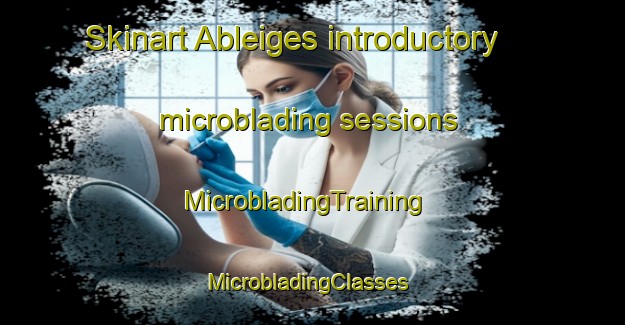 Skinart Ableiges introductory microblading sessions | MicrobladingTraining | MicrobladingClasses | SkinartTraining-France