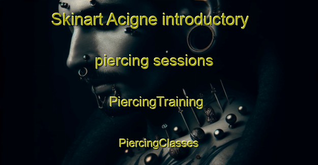 Skinart Acigne introductory piercing sessions | #PiercingTraining #PiercingClasses #SkinartTraining-France