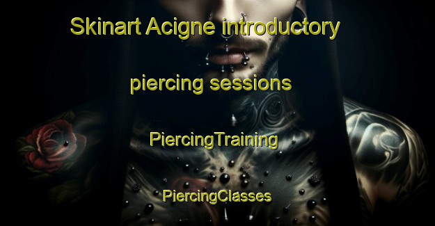 Skinart Acigne introductory piercing sessions | #PiercingTraining #PiercingClasses #SkinartTraining-France