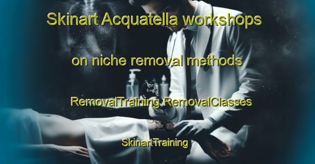 Skinart Acquatella workshops on niche removal methods | #RemovalTraining #RemovalClasses #SkinartTraining-France