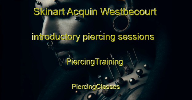 Skinart Acquin Westbecourt introductory piercing sessions | #PiercingTraining #PiercingClasses #SkinartTraining-France