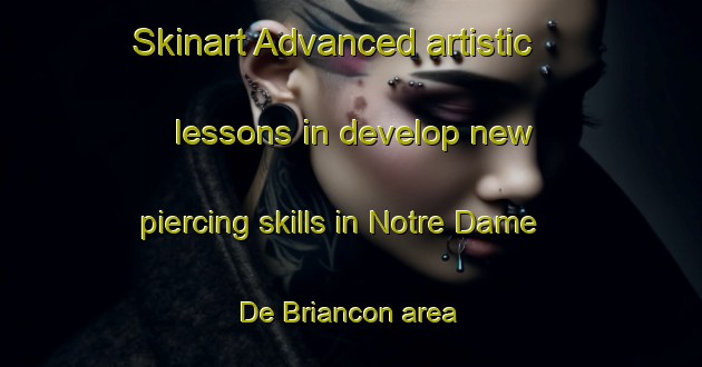 Skinart Advanced artistic lessons in develop new piercing skills in Notre Dame De Briancon area | PiercingTraining | PiercingClasses | SkinartTraining-France