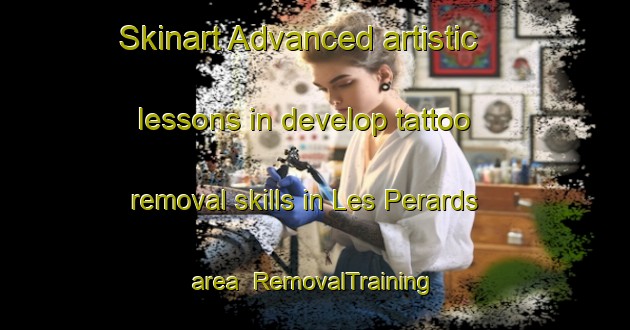 Skinart Advanced artistic lessons in develop tattoo removal skills in Les Perards area | RemovalTraining | RemovalClasses | SkinartTraining-France
