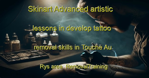 Skinart Advanced artistic lessons in develop tattoo removal skills in Touche Au Rys area | RemovalTraining | RemovalClasses | SkinartTraining-France