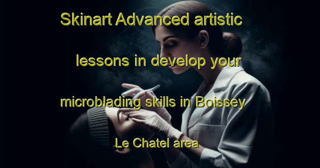 Skinart Advanced artistic lessons in develop your microblading skills in Boissey Le Chatel area | MicrobladingTraining | MicrobladingClasses | SkinartTraining-France