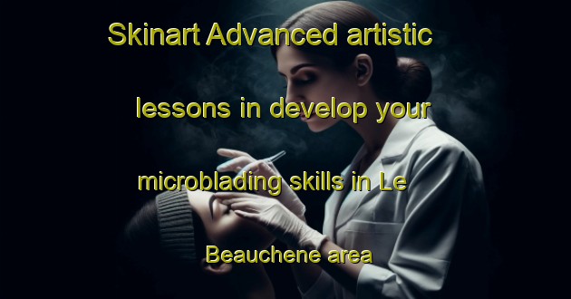 Skinart Advanced artistic lessons in develop your microblading skills in Le Beauchene area | MicrobladingTraining | MicrobladingClasses | SkinartTraining-France