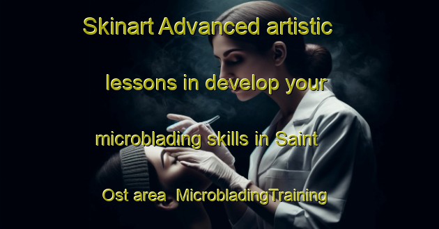 Skinart Advanced artistic lessons in develop your microblading skills in Saint Ost area | MicrobladingTraining | MicrobladingClasses | SkinartTraining-France