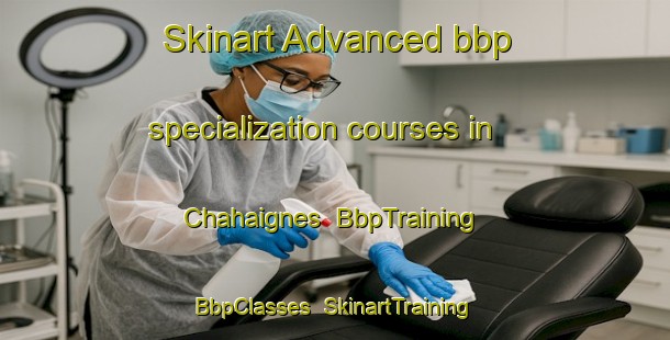 Skinart Advanced bbp specialization courses in Chahaignes | BbpTraining | BbpClasses | SkinartTraining-France