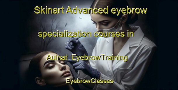 Skinart Advanced eyebrow specialization courses in Aulnat | EyebrowTraining | EyebrowClasses | SkinartTraining-France