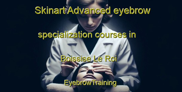 Skinart Advanced eyebrow specialization courses in Boissise Le Roi | EyebrowTraining | EyebrowClasses | SkinartTraining-France