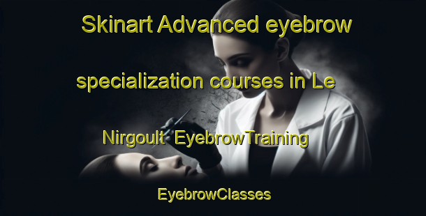 Skinart Advanced eyebrow specialization courses in Le Nirgoult | EyebrowTraining | EyebrowClasses | SkinartTraining-France