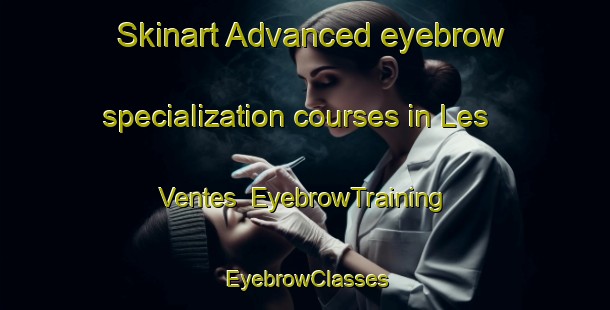 Skinart Advanced eyebrow specialization courses in Les Ventes | EyebrowTraining | EyebrowClasses | SkinartTraining-France