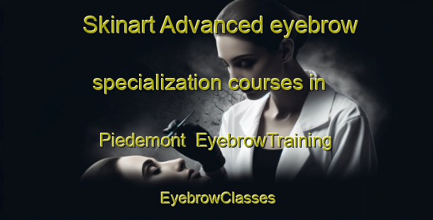 Skinart Advanced eyebrow specialization courses in Piedemont | EyebrowTraining | EyebrowClasses | SkinartTraining-France