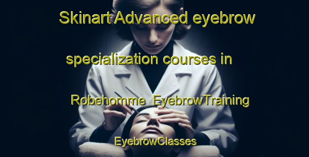 Skinart Advanced eyebrow specialization courses in Robehomme | EyebrowTraining | EyebrowClasses | SkinartTraining-France