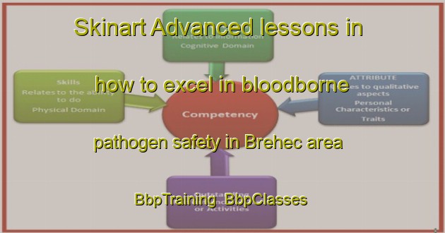 Skinart Advanced lessons in how to excel in bloodborne pathogen safety in Brehec area | BbpTraining | BbpClasses | SkinartTraining-France