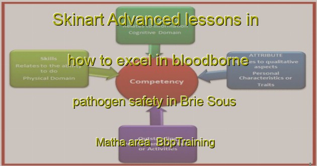 Skinart Advanced lessons in how to excel in bloodborne pathogen safety in Brie Sous Matha area | BbpTraining | BbpClasses | SkinartTraining-France