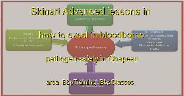 Skinart Advanced lessons in how to excel in bloodborne pathogen safety in Chapeau area | BbpTraining | BbpClasses | SkinartTraining-France