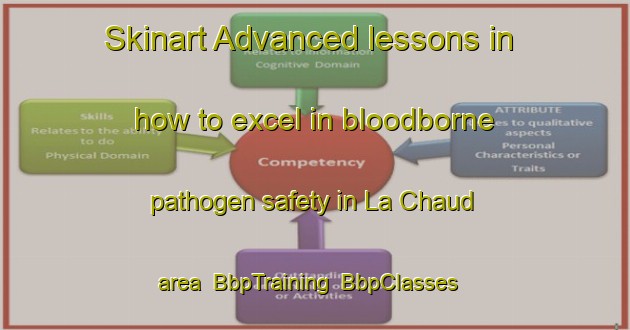 Skinart Advanced lessons in how to excel in bloodborne pathogen safety in La Chaud area | BbpTraining | BbpClasses | SkinartTraining-France