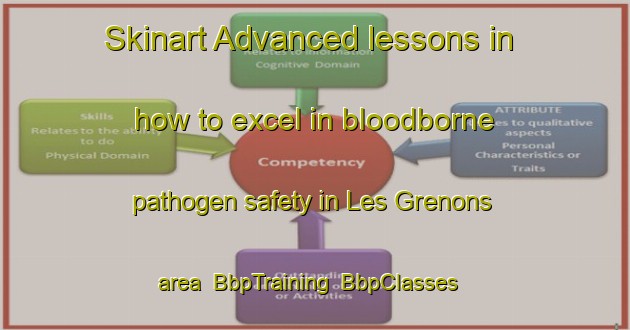 Skinart Advanced lessons in how to excel in bloodborne pathogen safety in Les Grenons area | BbpTraining | BbpClasses | SkinartTraining-France