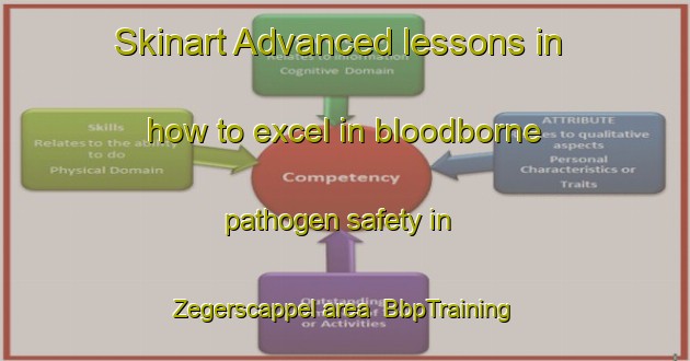 Skinart Advanced lessons in how to excel in bloodborne pathogen safety in Zegerscappel area | BbpTraining | BbpClasses | SkinartTraining-France