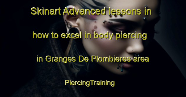 Skinart Advanced lessons in how to excel in body piercing in Granges De Plombieres area | PiercingTraining | PiercingClasses | SkinartTraining-France