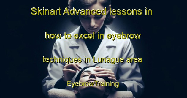 Skinart Advanced lessons in how to excel in eyebrow techniques in Lunague area | EyebrowTraining | EyebrowClasses | SkinartTraining-France