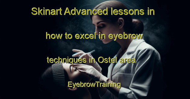Skinart Advanced lessons in how to excel in eyebrow techniques in Ostel area | EyebrowTraining | EyebrowClasses | SkinartTraining-France