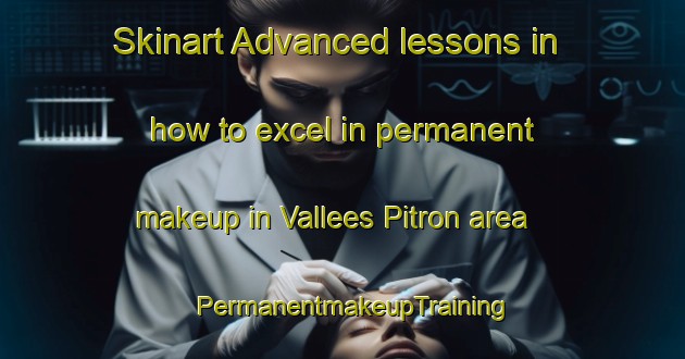 Skinart Advanced lessons in how to excel in permanent makeup in Vallees Pitron area | PermanentmakeupTraining | PermanentmakeupClasses | SkinartTraining-France