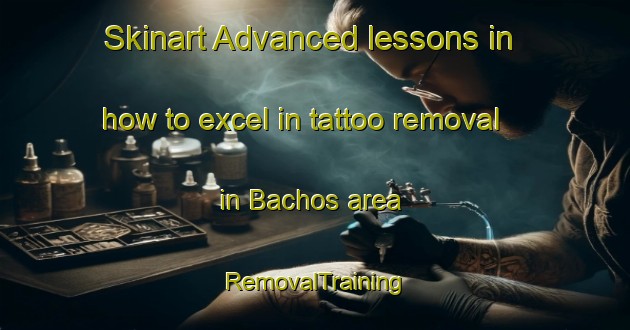 Skinart Advanced lessons in how to excel in tattoo removal in Bachos area | RemovalTraining | RemovalClasses | SkinartTraining-France