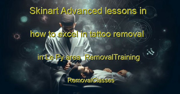 Skinart Advanced lessons in how to excel in tattoo removal in Le Py area | RemovalTraining | RemovalClasses | SkinartTraining-France