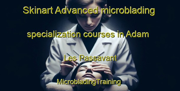 Skinart Advanced microblading specialization courses in Adam Les Passavant | #MicrobladingTraining #MicrobladingClasses #SkinartTraining-France