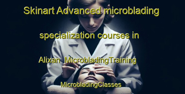 Skinart Advanced microblading specialization courses in Alixan | MicrobladingTraining | MicrobladingClasses | SkinartTraining-France