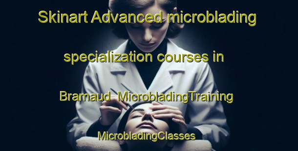 Skinart Advanced microblading specialization courses in Bramaud | MicrobladingTraining | MicrobladingClasses | SkinartTraining-France