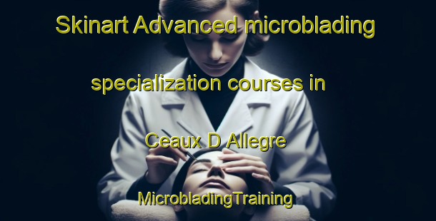 Skinart Advanced microblading specialization courses in Ceaux D Allegre | #MicrobladingTraining #MicrobladingClasses #SkinartTraining-France