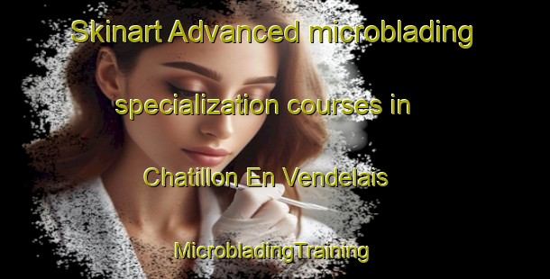 Skinart Advanced microblading specialization courses in Chatillon En Vendelais | #MicrobladingTraining #MicrobladingClasses #SkinartTraining-France