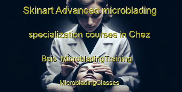 Skinart Advanced microblading specialization courses in Chez Bois | MicrobladingTraining | MicrobladingClasses | SkinartTraining-France