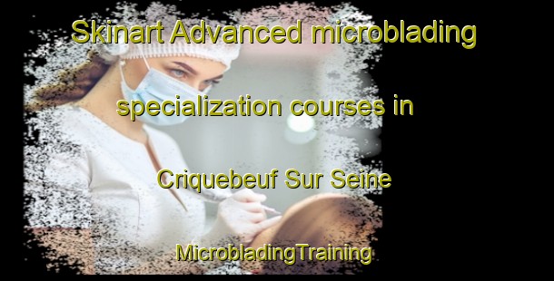 Skinart Advanced microblading specialization courses in Criquebeuf Sur Seine | #MicrobladingTraining #MicrobladingClasses #SkinartTraining-France