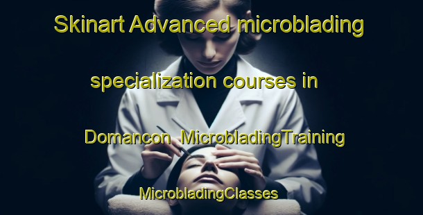 Skinart Advanced microblading specialization courses in Domancon | MicrobladingTraining | MicrobladingClasses | SkinartTraining-France