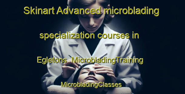 Skinart Advanced microblading specialization courses in Egletons | MicrobladingTraining | MicrobladingClasses | SkinartTraining-France