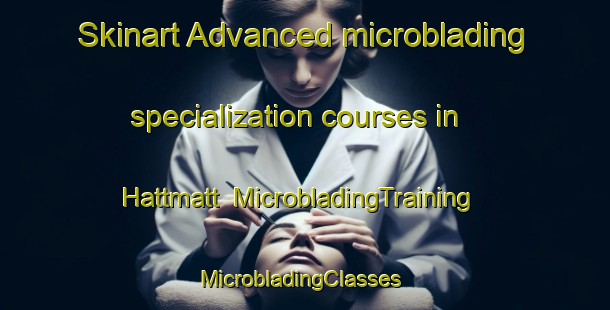 Skinart Advanced microblading specialization courses in Hattmatt | MicrobladingTraining | MicrobladingClasses | SkinartTraining-France