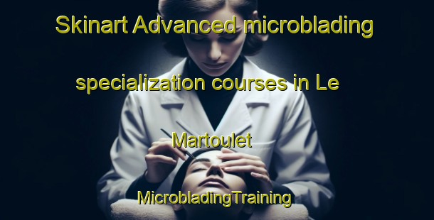 Skinart Advanced microblading specialization courses in Le Martoulet | #MicrobladingTraining #MicrobladingClasses #SkinartTraining-France