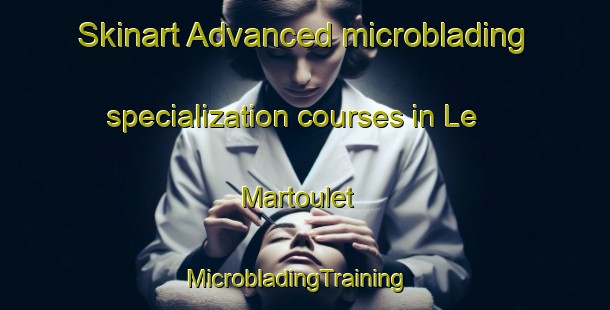 Skinart Advanced microblading specialization courses in Le Martoulet | MicrobladingTraining | MicrobladingClasses | SkinartTraining-France