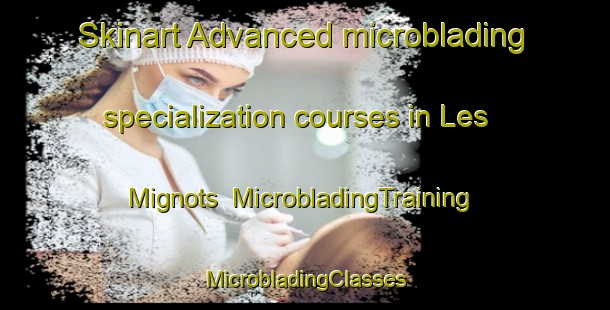 Skinart Advanced microblading specialization courses in Les Mignots | #MicrobladingTraining #MicrobladingClasses #SkinartTraining-France