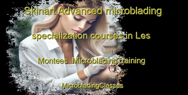 Skinart Advanced microblading specialization courses in Les Montees | MicrobladingTraining | MicrobladingClasses | SkinartTraining-France