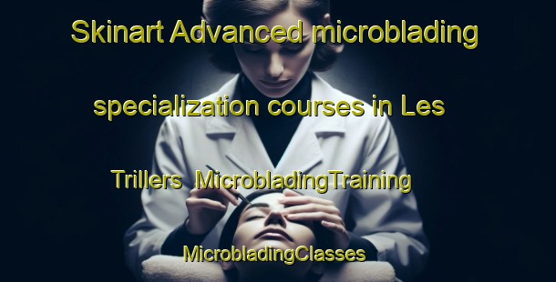 Skinart Advanced microblading specialization courses in Les Trillers | MicrobladingTraining | MicrobladingClasses | SkinartTraining-France