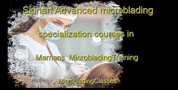 Skinart Advanced microblading specialization courses in Marnans | MicrobladingTraining | MicrobladingClasses | SkinartTraining-France